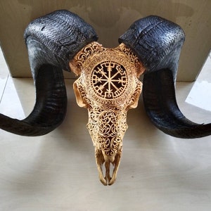 ram skull carving vicking with long horn