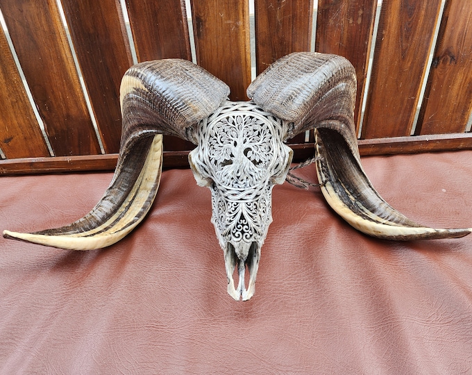 carve ram skull carving Tree Of life grey