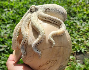 タコ の 骨 オブジェ 根付 彫刻 オブジェ タコとネズミ 天然素材 骨董