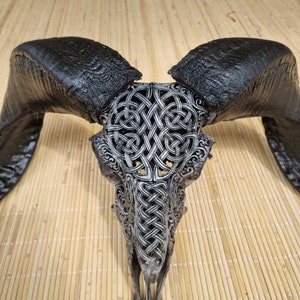 May include: A black and silver ram skull with intricate Celtic knotwork carvings. The skull is mounted on a wooden surface.