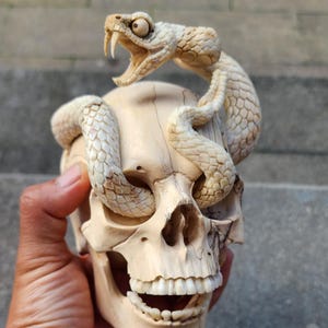 Può includere: Una scultura di teschio scolpito con un serpente arrotolato. Il serpente è di colore chiaro con squame dettagliate e una bocca minacciosa aperta. Il teschio è anch'esso di colore chiaro, con denti e orbite visibili, creando un tema gotico o fantasy.