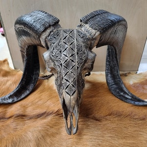 carve ram skull carving celtic with patern