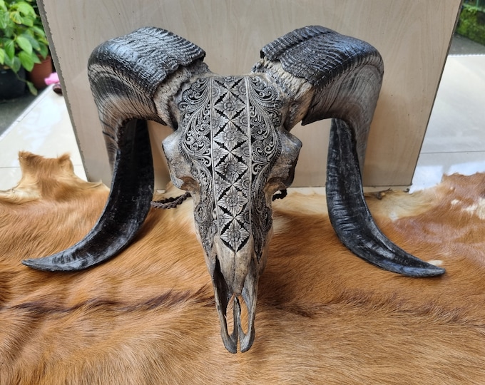 carve ram skull carving celtic with patern