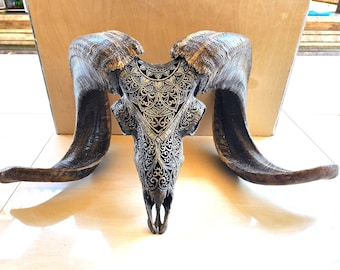 carved ram skull carving BOHO style