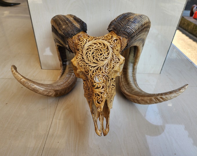carve goat skull carving half mandala grey HUGE