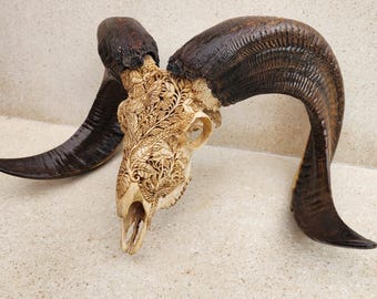 carved ram skull mushroom