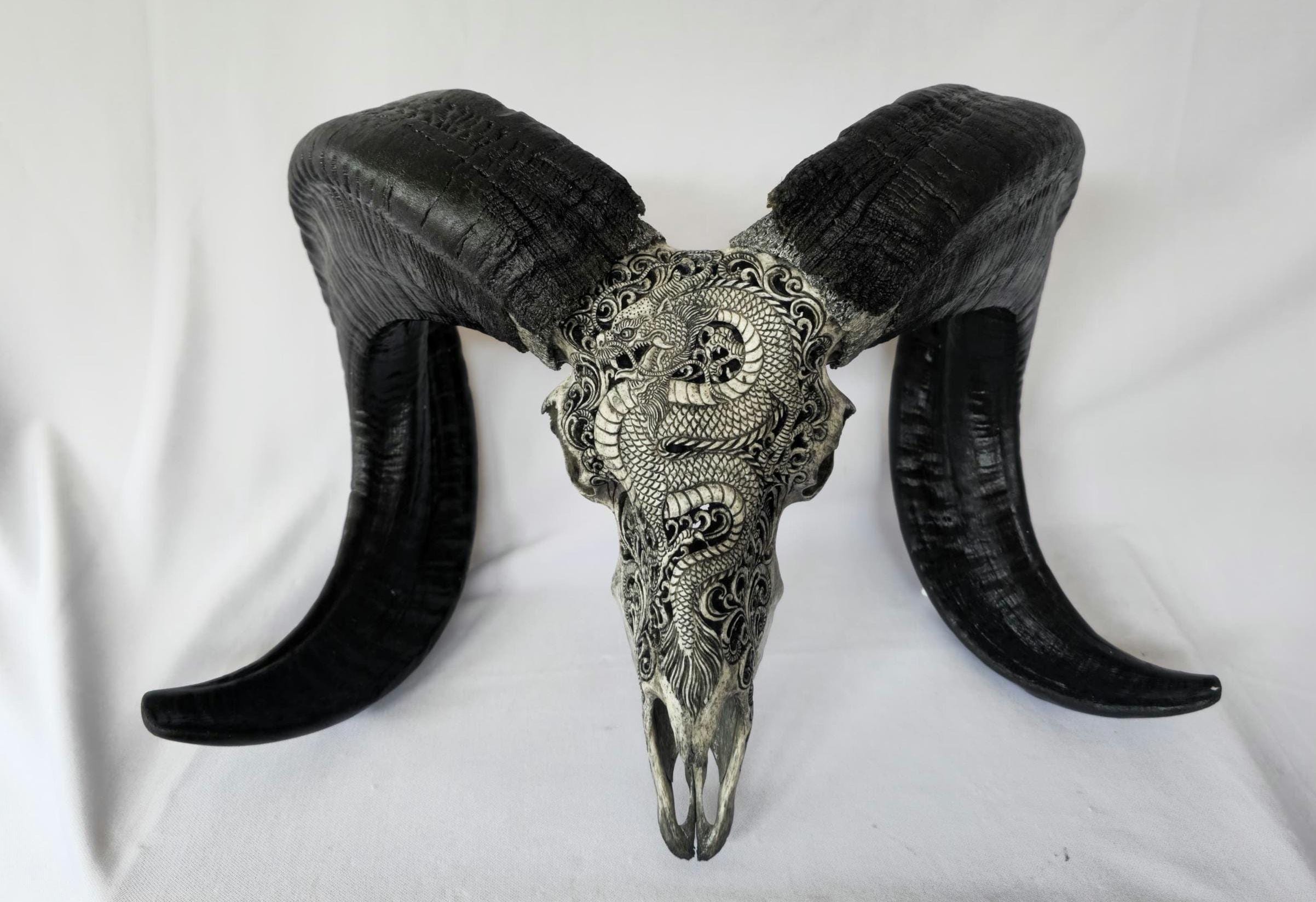 carved ram skull carving dragon grey
