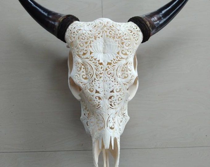 carved cow skull lotus white with carved gold horn