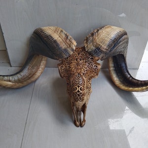 May include: A carved animal skull with intricate floral designs. The skull is light brown with dark brown horns. The horns are curved and have a textured surface.