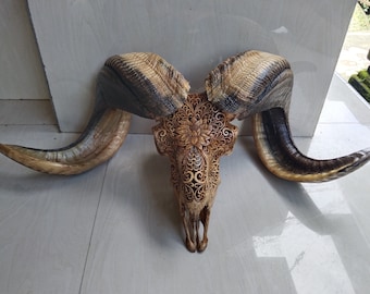 ram skull carving Lotus antic with stand