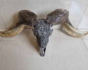 carved ram skull carving hart two tone horn colour