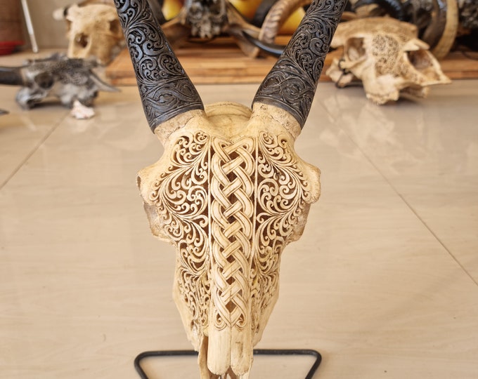 Carve goat skull carving celtic antic