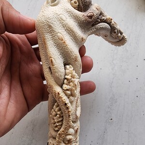 May include: A carved ivory-colored octopus sculpture with detailed tentacles and a textured surface. The sculpture has a dark brown base and is held in a hand. The octopus's head features eye sockets and a beak.