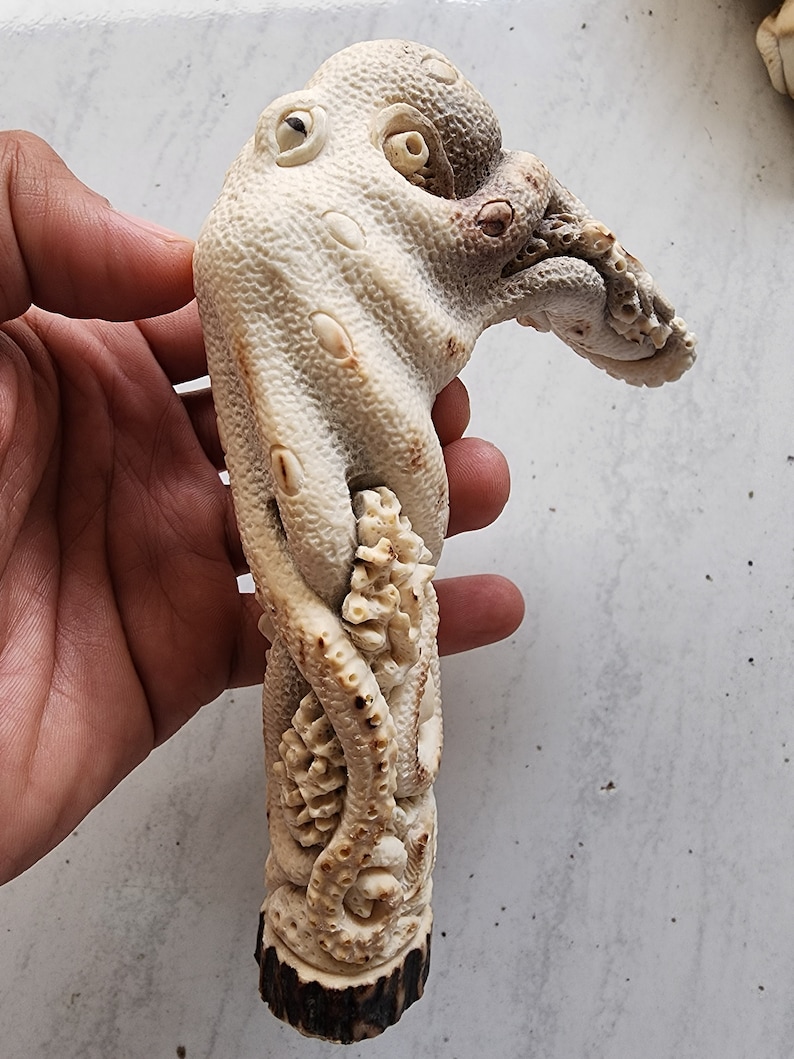 May include: A carved ivory-colored octopus sculpture with detailed tentacles and a textured surface. The sculpture has a dark brown base and is held in a hand. The octopus's head features eye sockets and a beak.