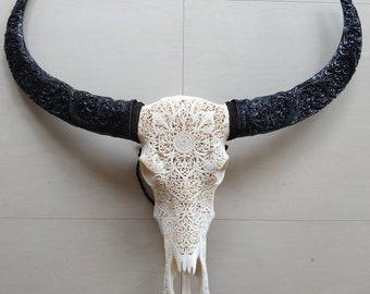 carve buffalo skull mandala carved horn white