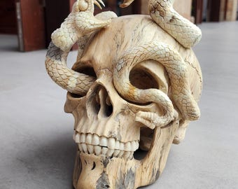 Hand-Carved Skull with Snake | Tamarind Wood & Deer Antler Sculpture | Gothic Boho Tribal Home Décor