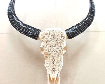 carved skull buffalo skull floral patern