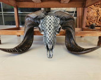 carved ram skull carving celtic