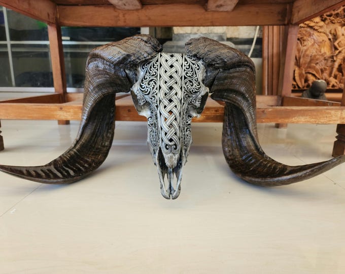 carved goat skull carving celtic