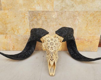 ram skull carving mandala antique with carved black horn