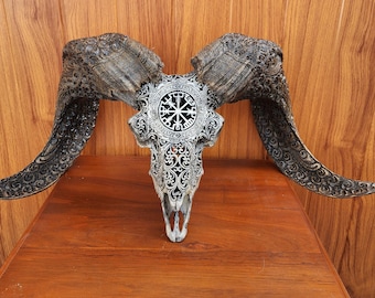 carved ram skull carving Viking grey carved horn