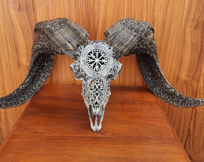 carved ram skull carving Viking grey carved horn