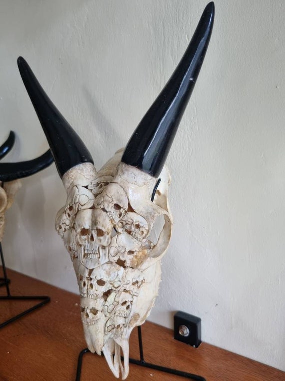 ヤギの頭蓋骨と人間の頭蓋骨を彫る - Etsy 日本