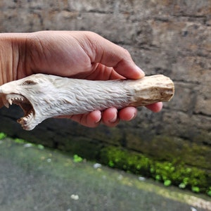 Deer antler carving knife handle wolf