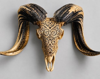 Carved Ram Skull Wall Art Decor