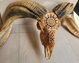 Hand Carved Ram Skull Mandala | Antique Tribal Wall Art |