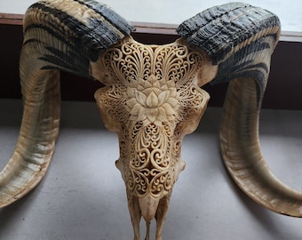 carve ram skull carving Lotus