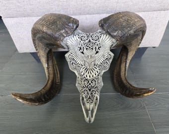 Real Ram Skull with owl tatto Engraving – Ethical Bone Carving – Tribal Wall Art