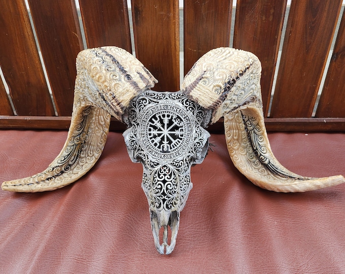 carve ram skull viking two tone horn