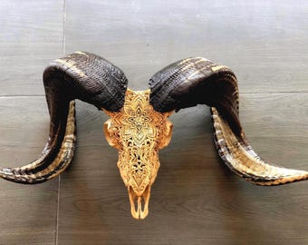 Hand-Carved Ram Skull – Floral Mandala Design – Natural Horn Wall Art