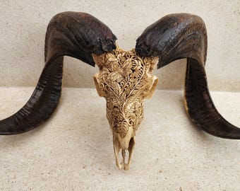 carved ram skull mushroom