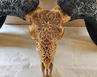 carve ram skull mandala with carved horn