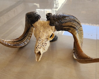 carve ram skull carving mandala