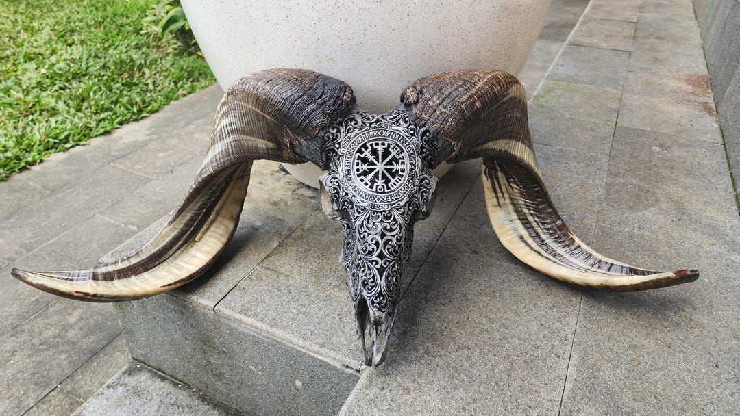 Hand-carved Viking Ram Skull – Vegvisir Symbol & Nordic Runes ...