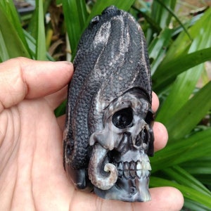 cow Horn carving Human Skull octopus