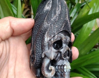 cow Horn carving Human Skull octopus