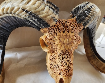 carve goat skull carving
