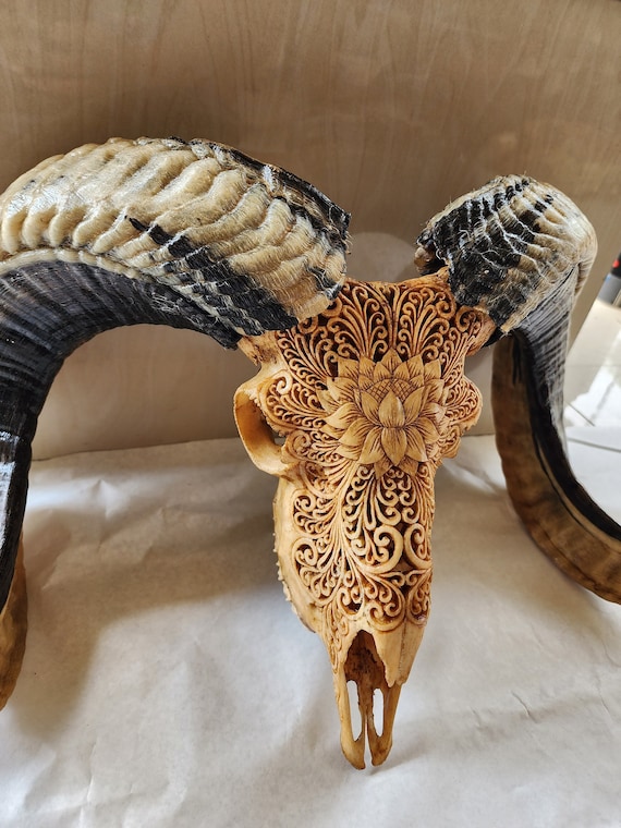 ヤギの頭蓋骨を彫る - Etsy 日本