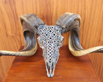 carved ram skull carving celtic  grey