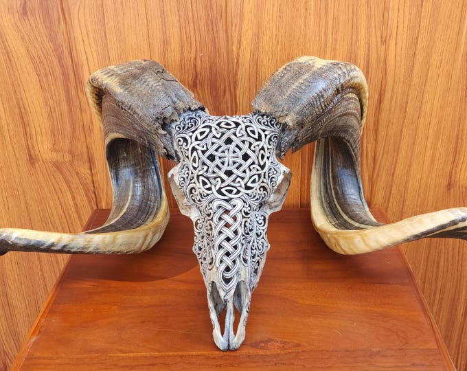 carved ram skull carving celtic  grey