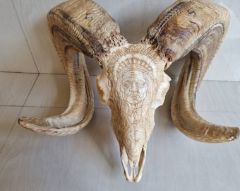 carve ram skull Indian brown natural horn
