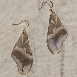 Real Moth Wing Earrings, Forewings, Insect Jewelry, Samia Cynthia Moth Wings