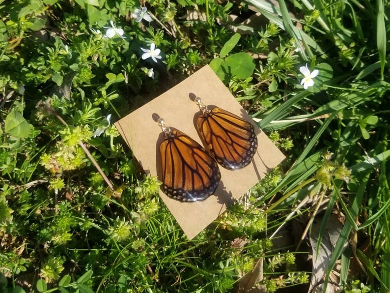 Botanical Resin Nature Monarch Earrings