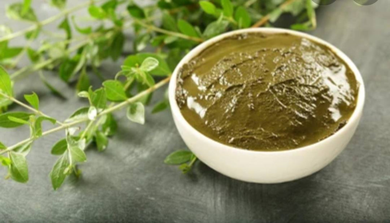 Mehndi plant seeds_ henna plant seeds a ceylonlife | Etsy