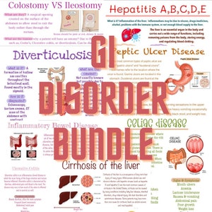 GI disorder notes bundle - study guide - digital download