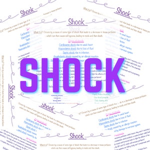 Digital Download Nursing Shock Notes